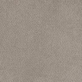 Cut Pile Living Well Brown Carpet