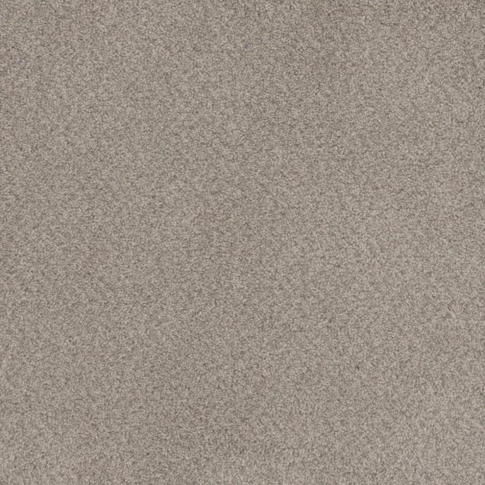 Cut Pile Living Well Brown Carpet