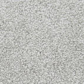 Textured Saxony Dreamland Gray Carpet