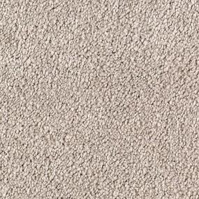 Textured Saxony Mirror Image Gray Carpet