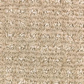 Pattern Nutria Beige/Tan Carpet