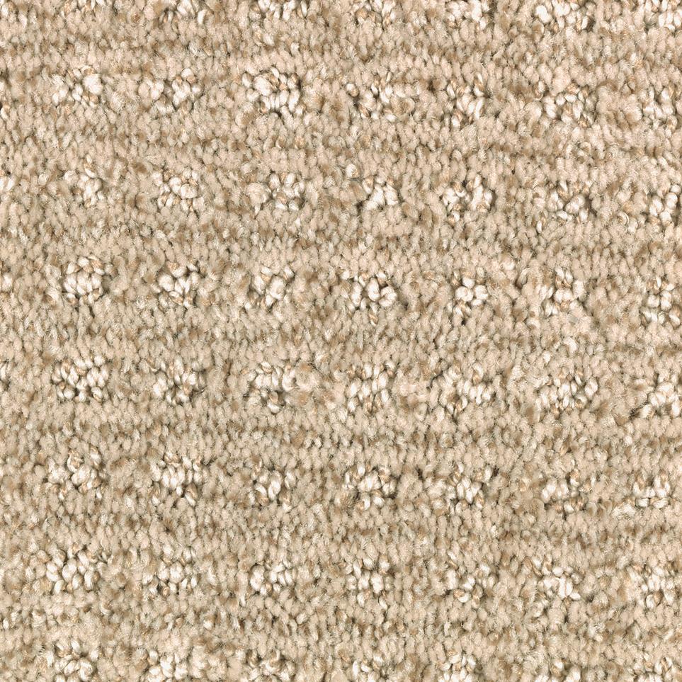 Pattern Nutria  Carpet
