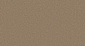 Textured Saxony Natural Wheat Beige/Tan Carpet