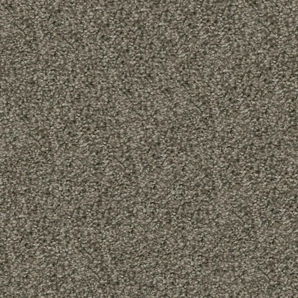 Plush Whiskers Gray Carpet