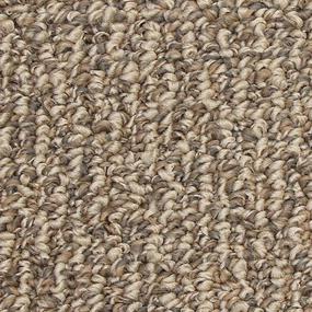 Pattern Sandy Beige/Tan Carpet