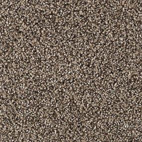 Textured Saxony Boulevard Brown Carpet