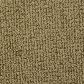 Pattern Farm House Beige/Tan Carpet