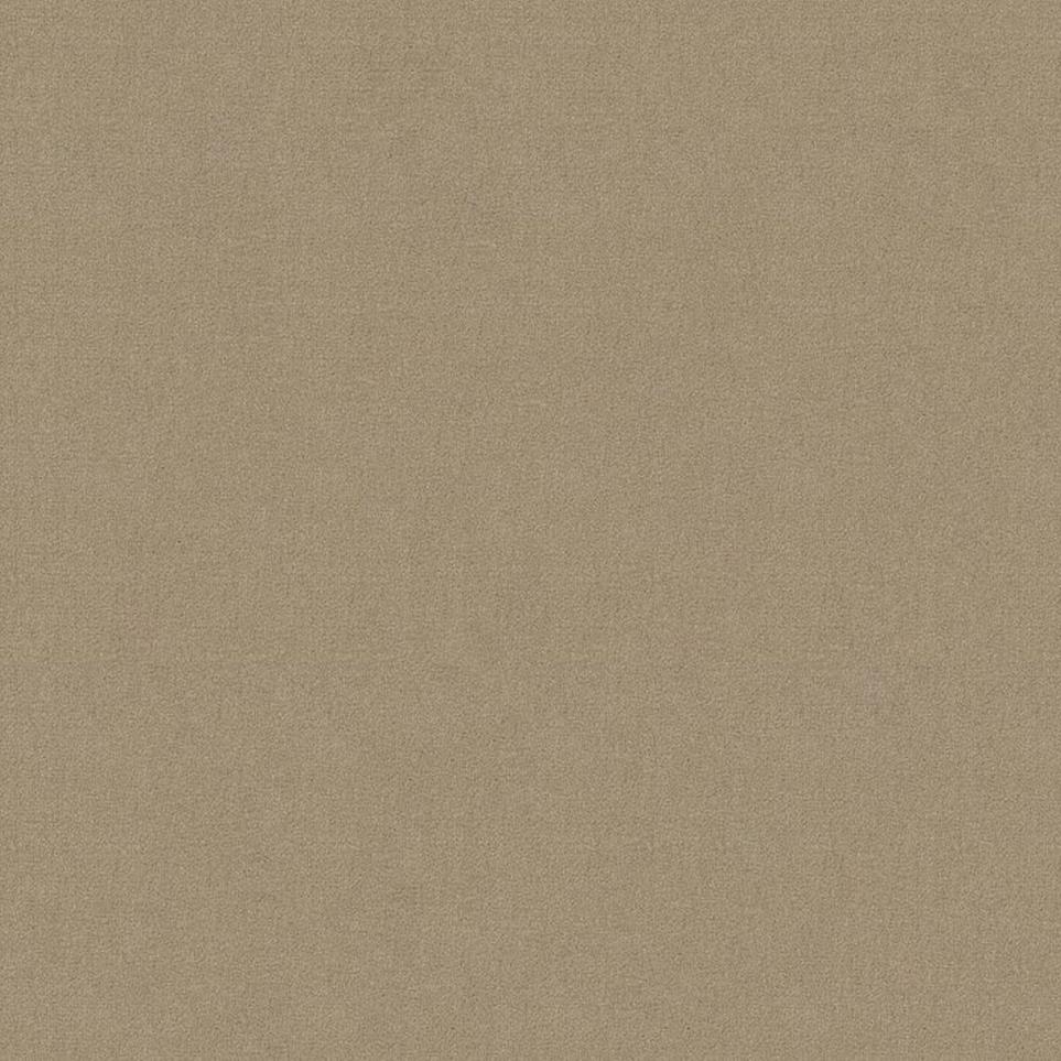 Cut Pile Sahara Beige/Tan Carpet