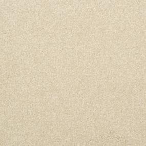 Textured Saxony Oxford Beige/Tan Carpet