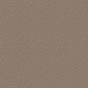 Textured Saxony Splendor Beige/Tan Carpet