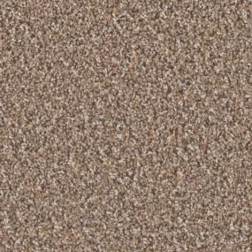 Textured Saxony Splendor Beige/Tan Carpet