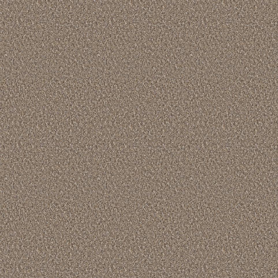 Texture Splendor Beige/Tan Carpet