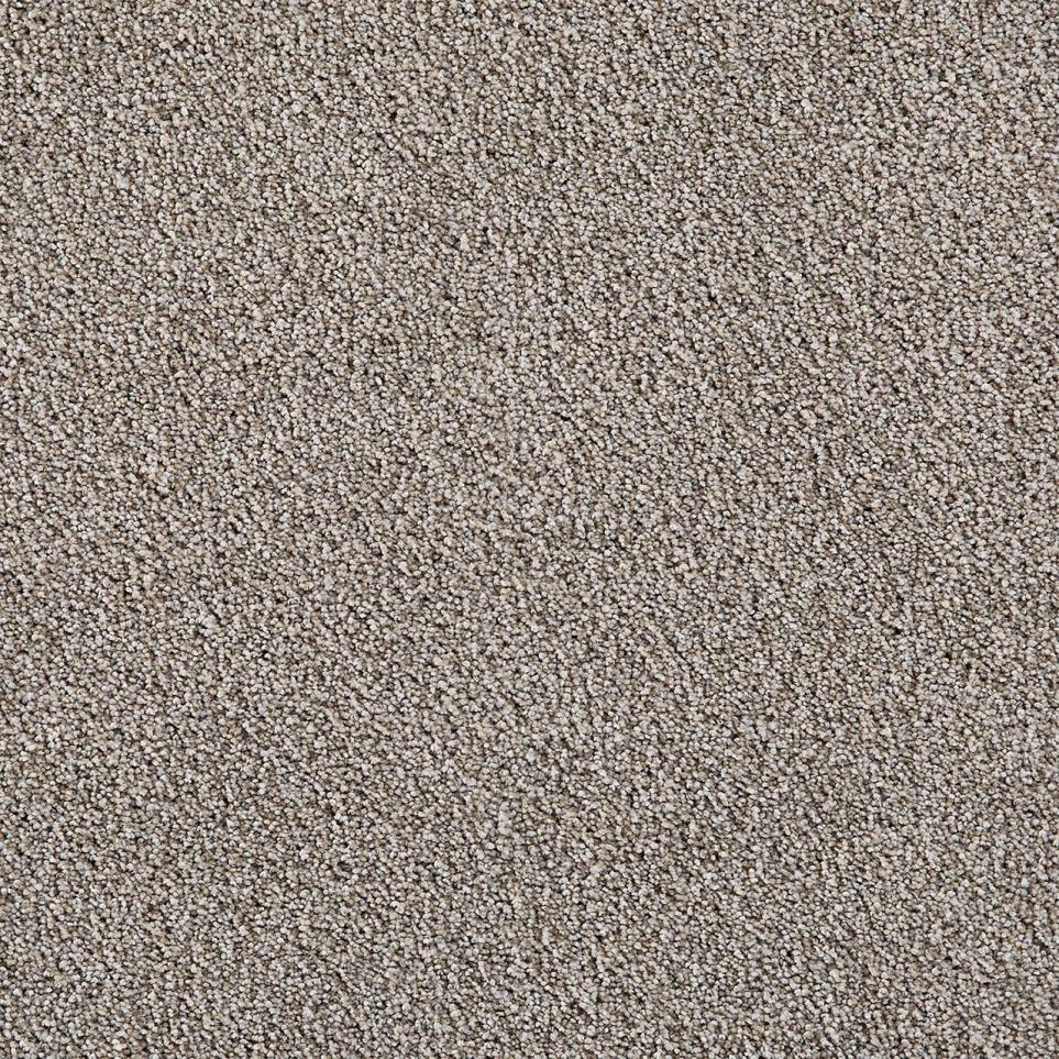 Cut Pile Spotlight Gray Carpet