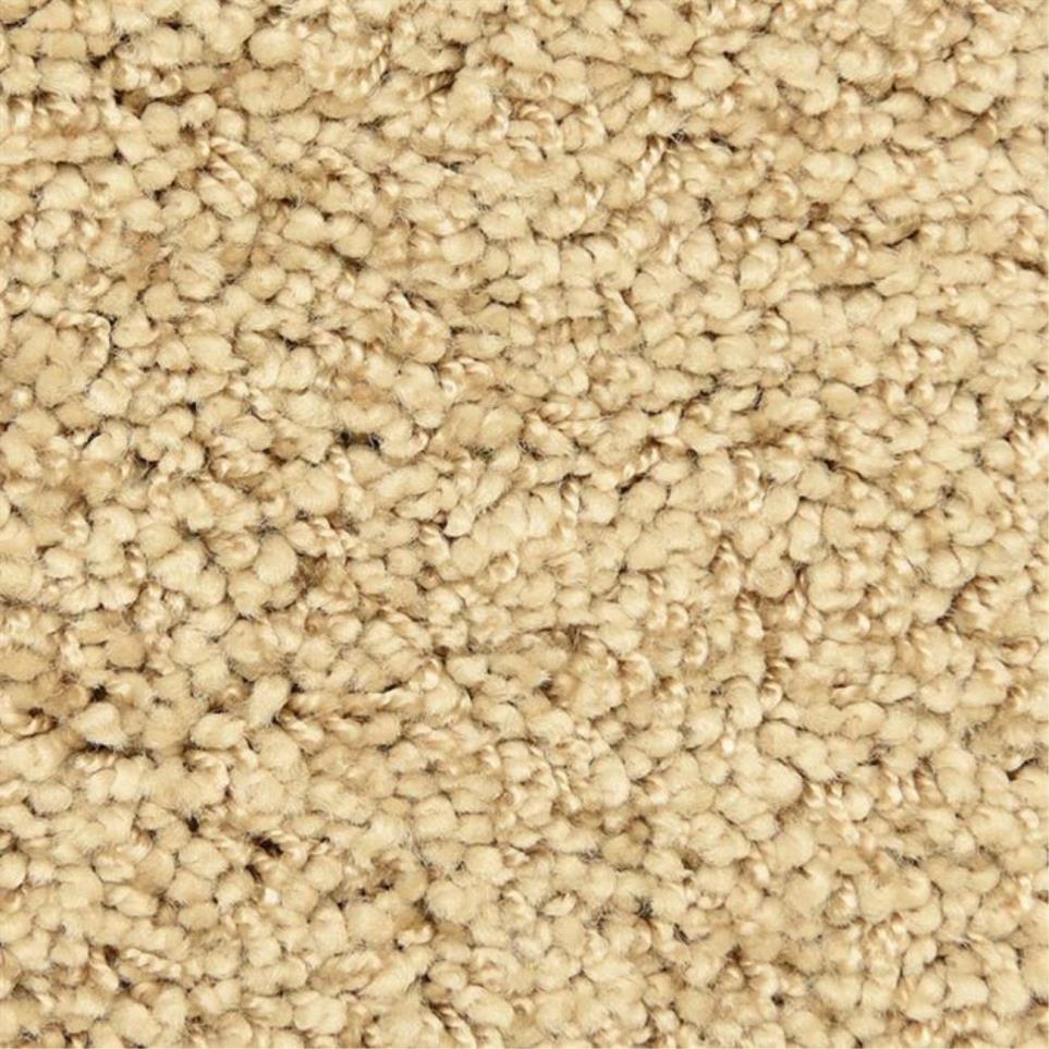 Casual Texture Tibet Beige/Tan Carpet