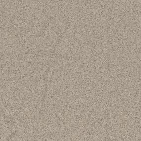 Textured Saxony Renoir Bisque Beige/Tan Carpet