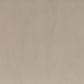 Pattern Daffodil                       Beige/Tan Carpet