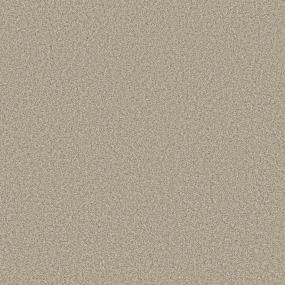 Plush Saxony Macadamia Beige/Tan Carpet