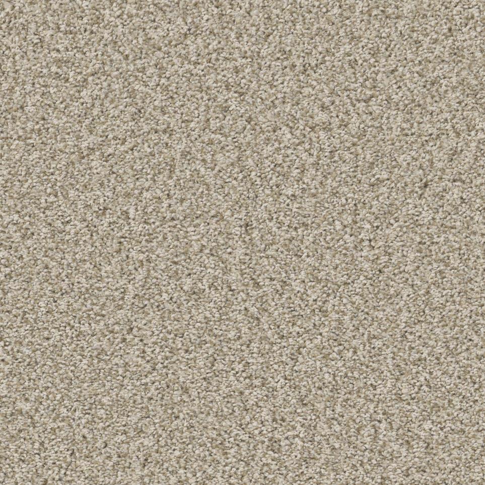 Plush Macadamia Beige/Tan Carpet