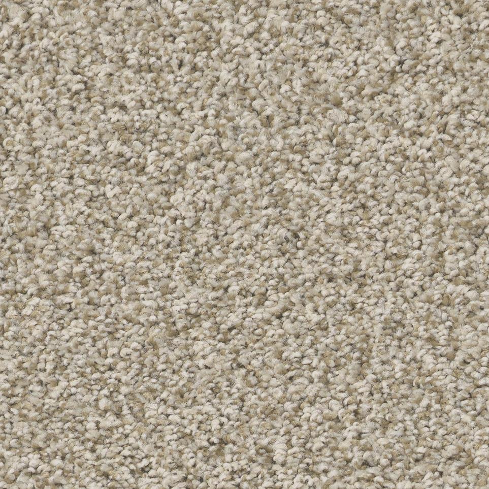 Plush Macadamia Beige/Tan Carpet