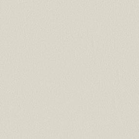 Texture Chalk White Carpet