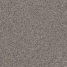Textured Saxony Matte Grey Beige/Tan Carpet