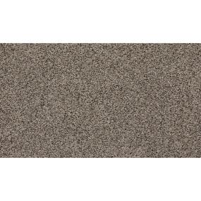 Textured Saxony Tudor Beige/Tan Carpet