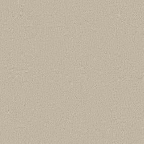 Pattern Parchment Beige/Tan Carpet