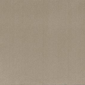 Pattern Cromwell Beige/Tan Carpet