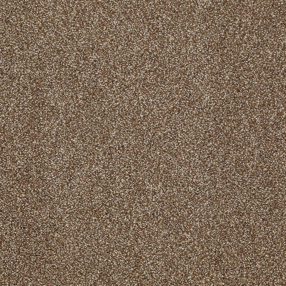 Texture Ponytail Brown Carpet