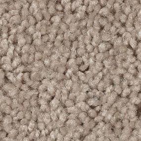 Texture Harmony Beige/Tan Carpet