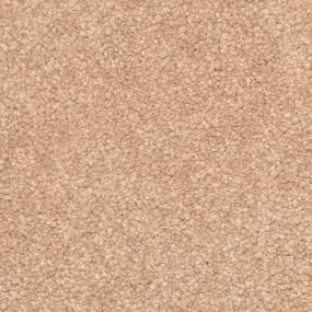 Casual Texture Tahoe Stone Beige/Tan Carpet