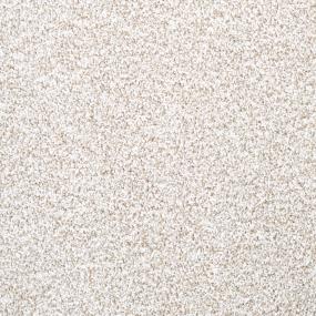Textured Saxony Pleasant Beige/Tan Carpet