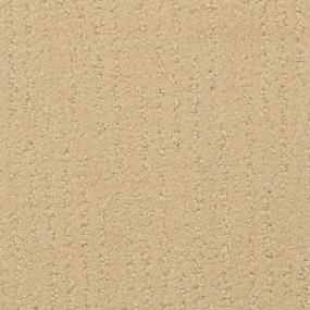 Pattern Wild Honey Beige/Tan Carpet