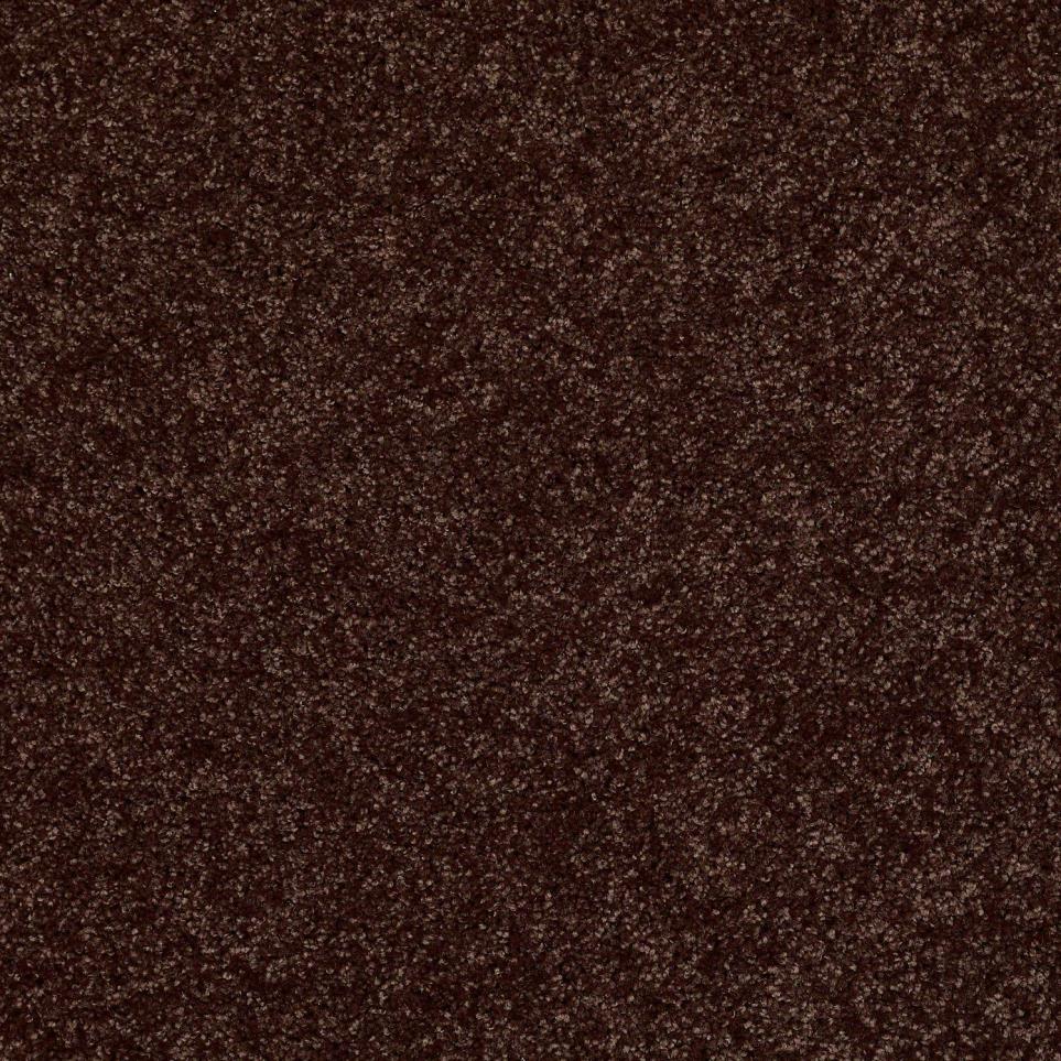 Textured Saxony Espresso Brown Carpet