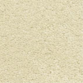 Casual Texture Bruma Beige/Tan Carpet