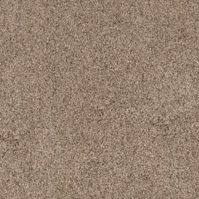 Textured Saxony Bark Brown Carpet
