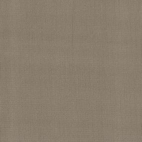 Loop Agave Brown Carpet