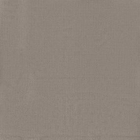 Pattern Barely There Beige/Tan Carpet