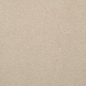 Casual Texture Bone Beige/Tan Carpet