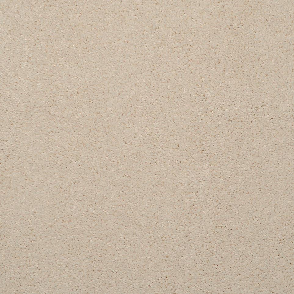 Casual Texture Bone Beige/Tan Carpet