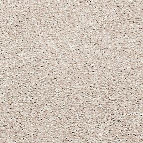 Textured Saxony Astounding Beige/Tan Carpet