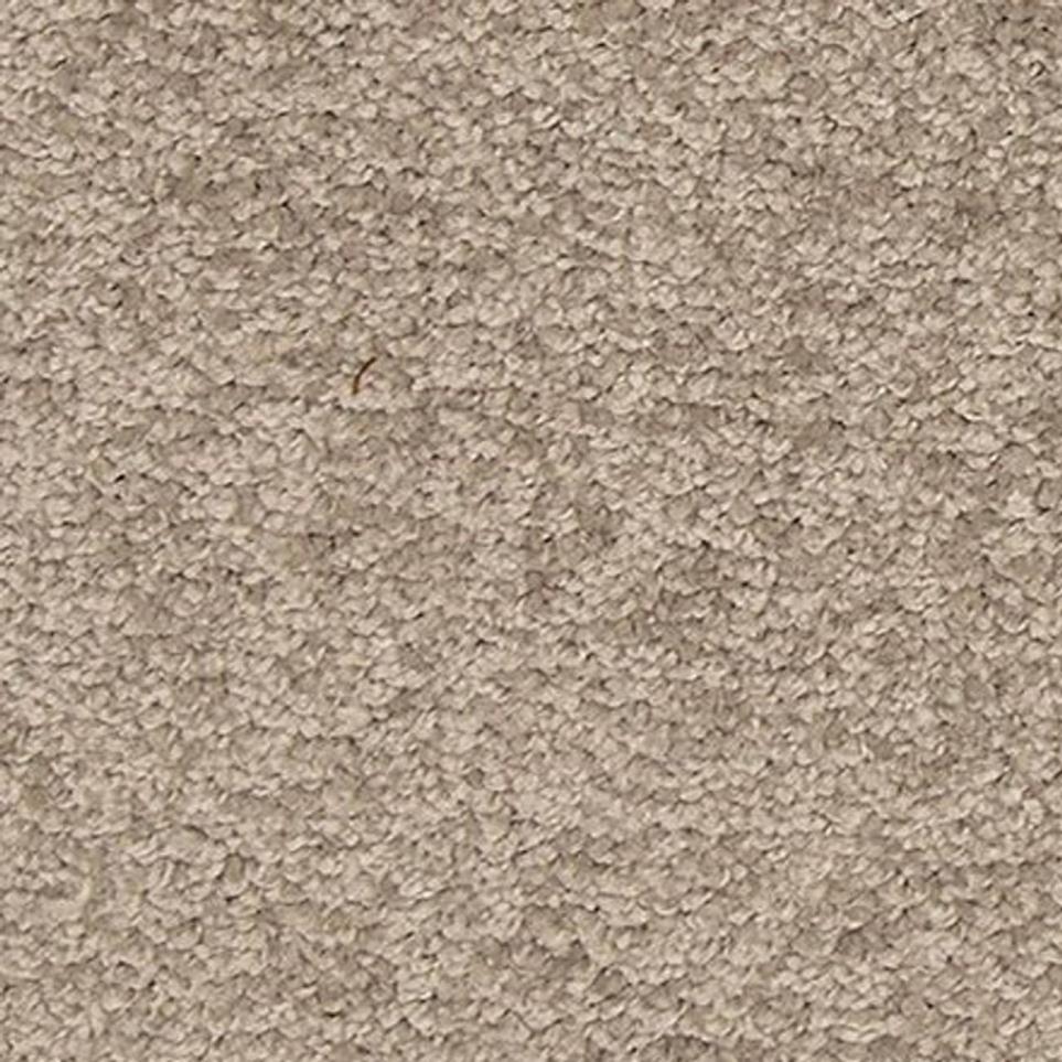 Textured Saxony Rocky Hill Beige/Tan Carpet