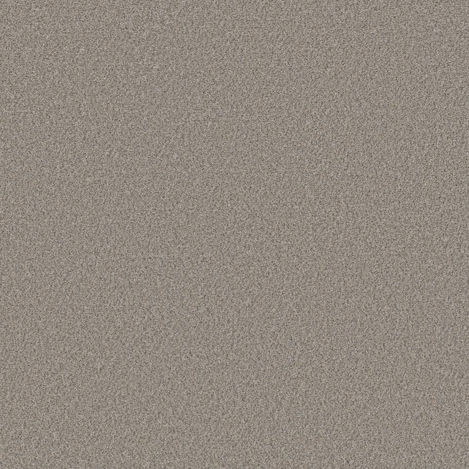 Texture Radiance Beige/Tan Carpet