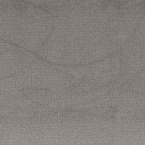Pattern Silver Dollar Gray Carpet