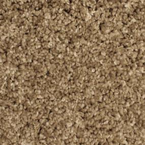 Textured Saxony Notable Beige/Tan Carpet