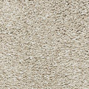 Textured Saxony Beaten Path Beige/Tan Carpet