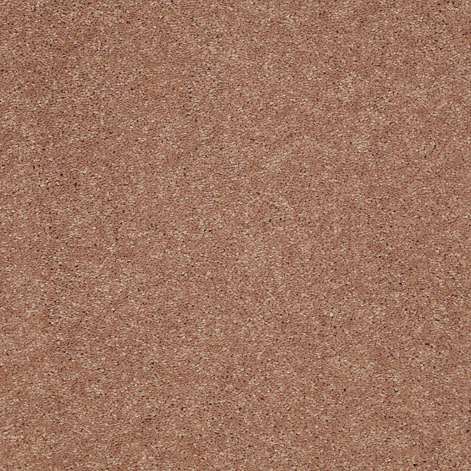 Texture Cork Board Beige/Tan Carpet
