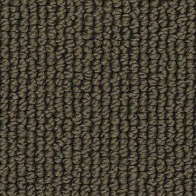 Loop Dark Chocolate Brown Carpet