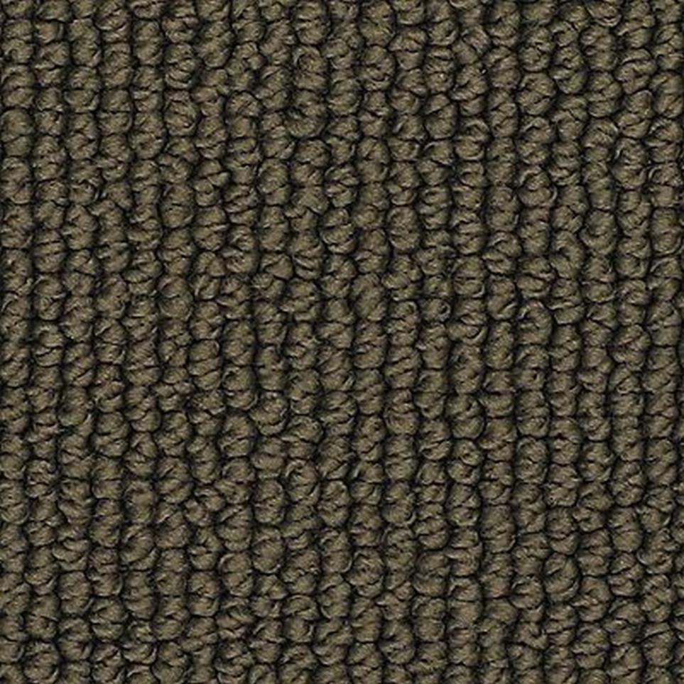 Loop Dark Chocolate Brown Carpet