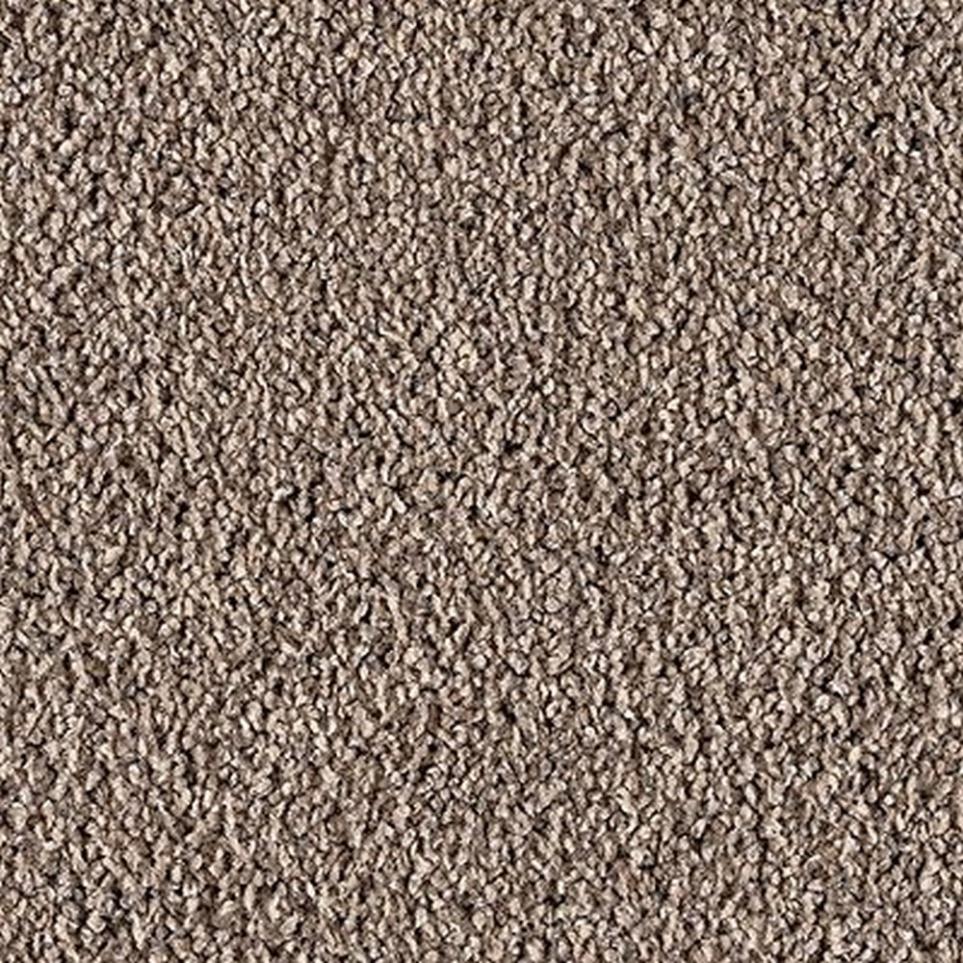 Textured Saxony Urbane Brown Carpet